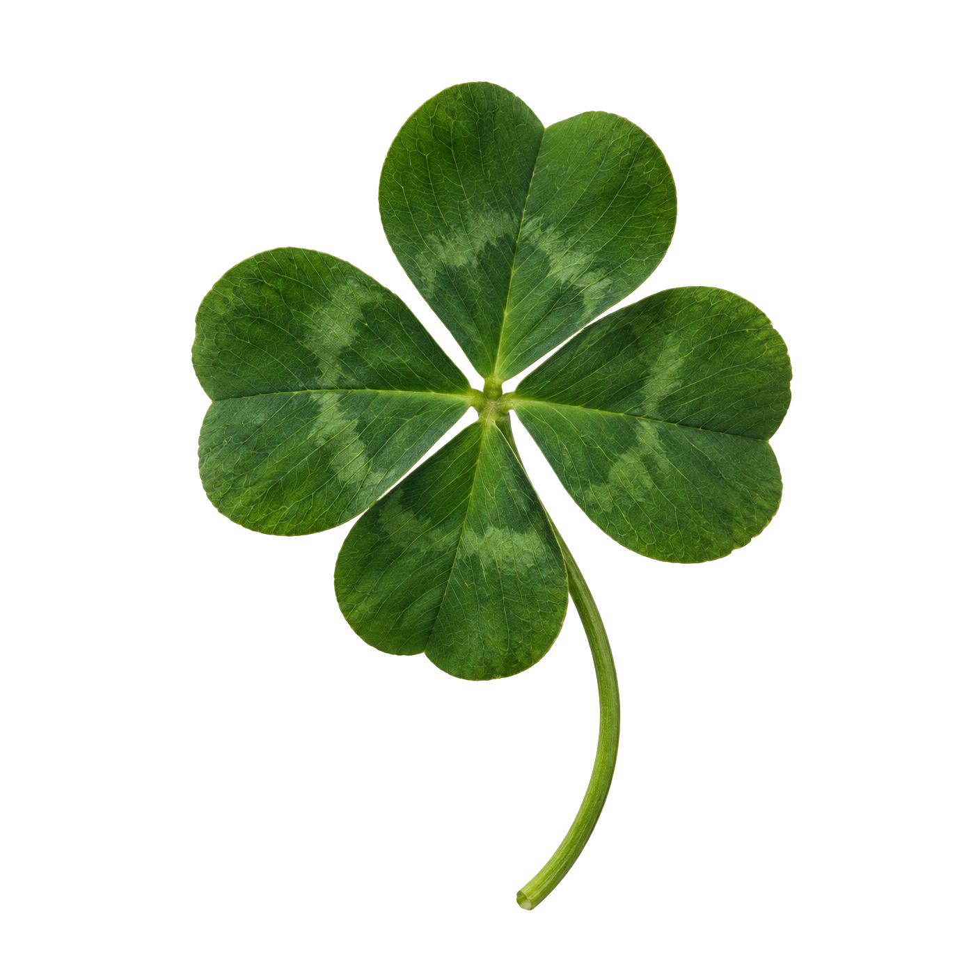 Czterolistna koniczyna — symbol czterech sposobów pomocy